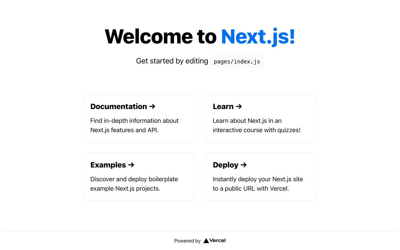 Preview screenshot of Next.js App